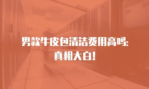 男款牛皮包清洁费用高吗：真相大白！
