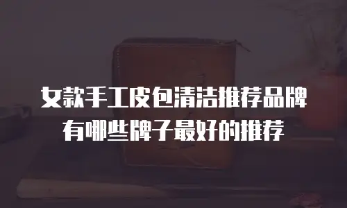 女款手工皮包清洁推荐品牌有哪些牌子最好的推荐
