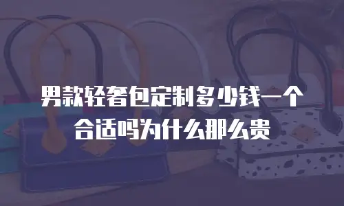 男款轻奢包定制多少钱一个合适吗为什么那么贵
