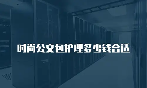 时尚公文包护理多少钱合适