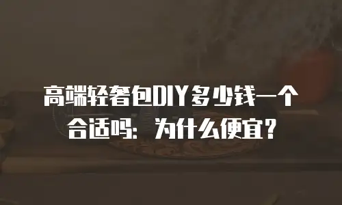 高端轻奢包DIY多少钱一个合适吗：为什么便宜？