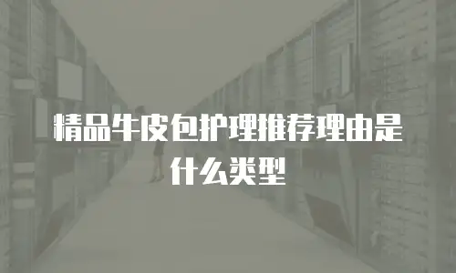 精品牛皮包护理推荐理由是什么类型