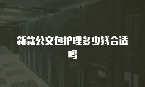 新款公文包护理多少钱合适吗