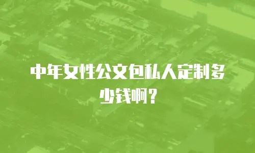 中年女性公文包私人定制多少钱啊？