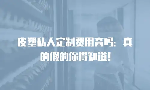 皮塑私人定制费用高吗：真的假的你得知道！