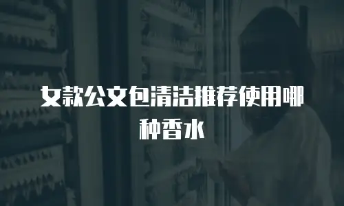 女款公文包清洁推荐使用哪种香水