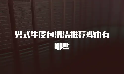 男式牛皮包清洁推荐理由有哪些