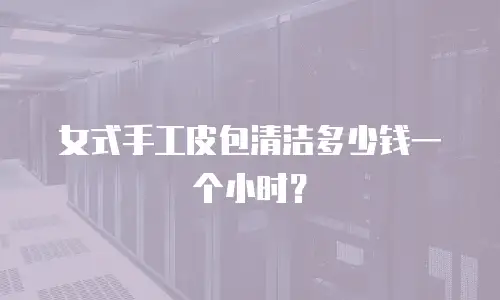 女式手工皮包清洁多少钱一个小时？
