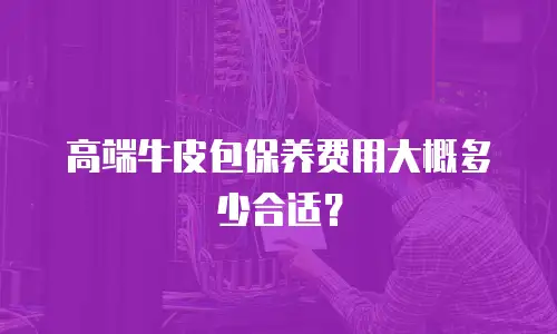 高端牛皮包保养费用大概多少合适？