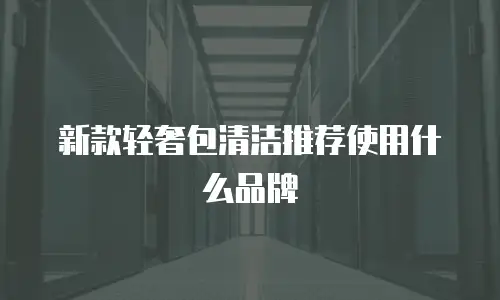 新款轻奢包清洁推荐使用什么品牌