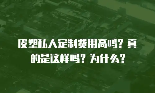 皮塑私人定制费用高吗？真的是这样吗？为什么？