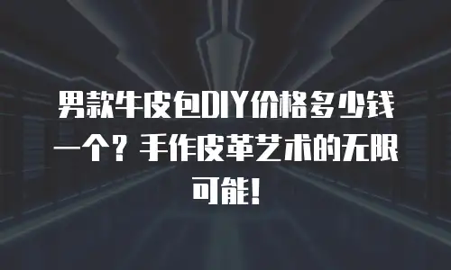 男款牛皮包DIY价格多少钱一个？手作皮革艺术的无限可能！