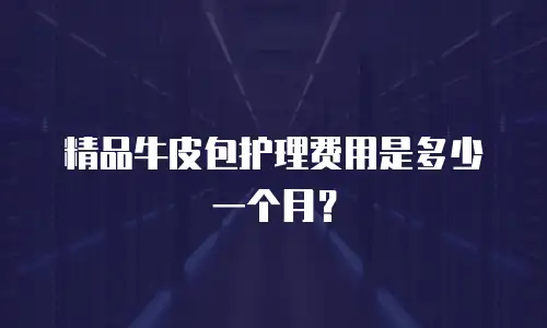 精品牛皮包护理费用是多少一个月？