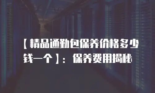 【精品通勤包保养价格多少钱一个】：保养费用揭秘