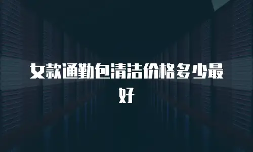 女款通勤包清洁价格多少最好
