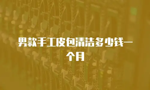 男款手工皮包清洁多少钱一个月