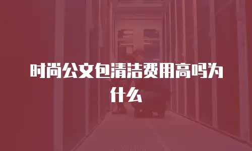 时尚公文包清洁费用高吗为什么