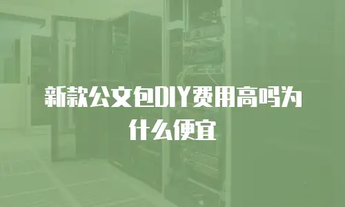 新款公文包DIY费用高吗为什么便宜
