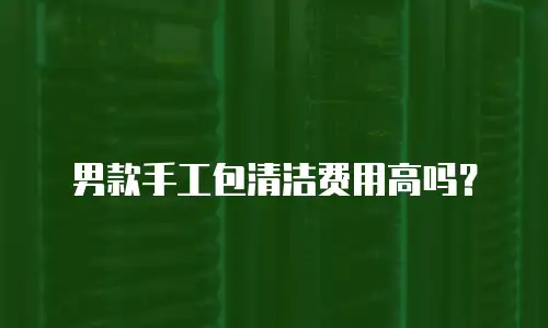 男款手工包清洁费用高吗？