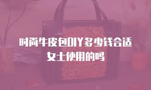 时尚牛皮包DIY多少钱合适女士使用的吗