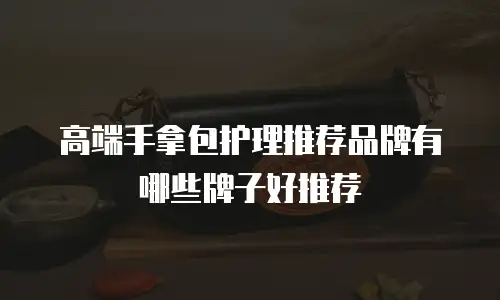 高端手拿包护理推荐品牌有哪些牌子好推荐