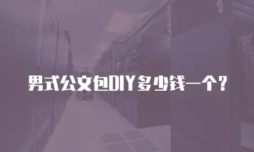男式公文包DIY多少钱一个？