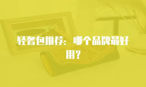 轻奢包推荐：哪个品牌最好用？