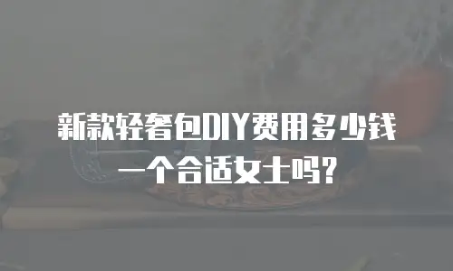 新款轻奢包DIY费用多少钱一个合适女士吗？