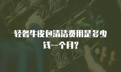 轻奢牛皮包清洁费用是多少钱一个月？