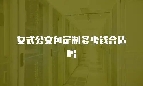 女式公文包定制多少钱合适吗