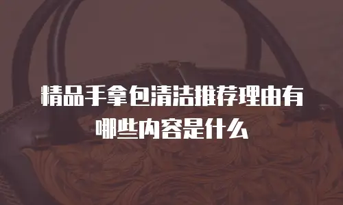 精品手拿包清洁推荐理由有哪些内容是什么