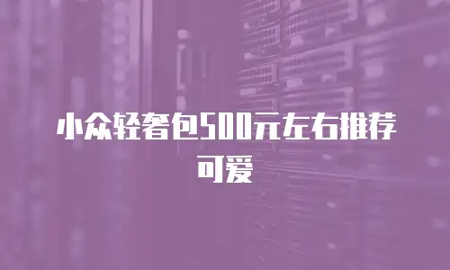 小众轻奢包500元左右推荐可爱