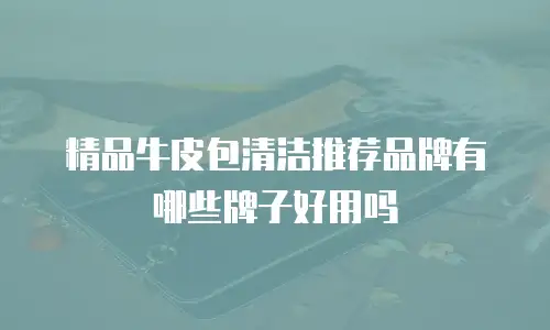 精品牛皮包清洁推荐品牌有哪些牌子好用吗