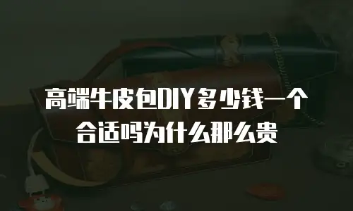 高端牛皮包DIY多少钱一个合适吗为什么那么贵
