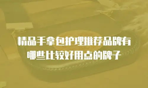 精品手拿包护理推荐品牌有哪些比较好用点的牌子