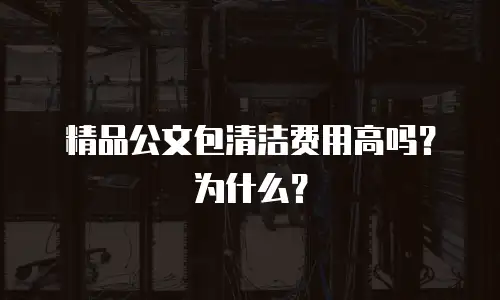 精品公文包清洁费用高吗？为什么？
