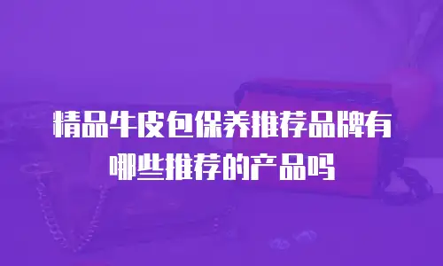 精品牛皮包保养推荐品牌有哪些推荐的产品吗