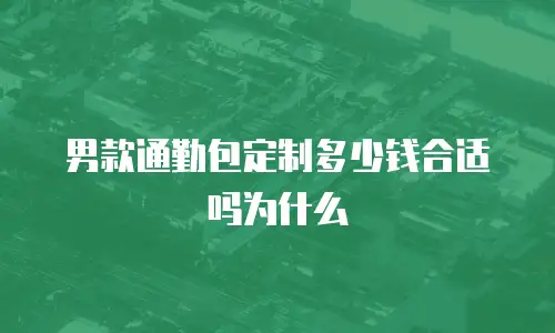 男款通勤包定制多少钱合适吗为什么