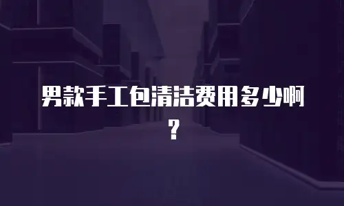男款手工包清洁费用多少啊？