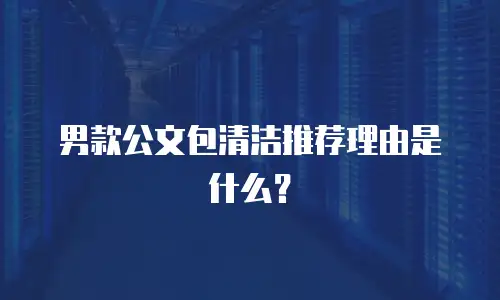 男款公文包清洁推荐理由是什么？