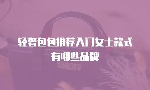 轻奢包包推荐入门女士款式有哪些品牌