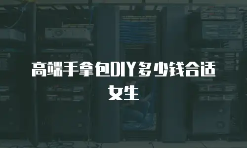 高端手拿包DIY多少钱合适女生