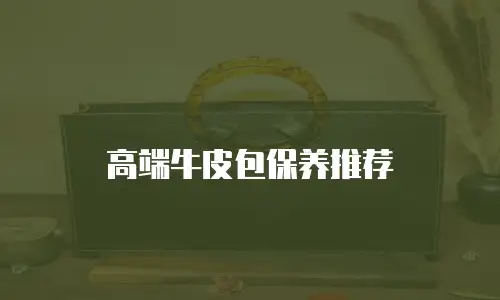 高端牛皮包保养推荐