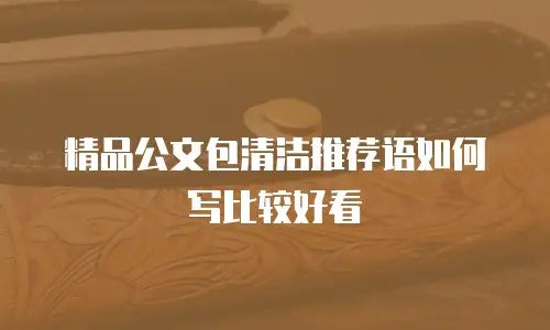 精品公文包清洁推荐语如何写比较好看