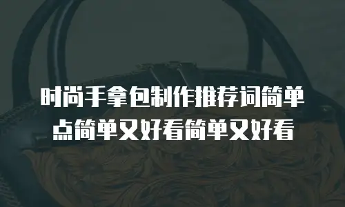 时尚手拿包制作推荐词简单点简单又好看简单又好看