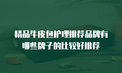 精品牛皮包护理推荐品牌有哪些牌子的比较好推荐