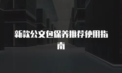 新款公文包保养推荐使用指南