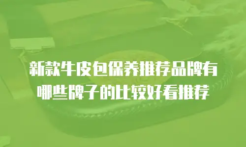 新款牛皮包保养推荐品牌有哪些牌子的比较好看推荐