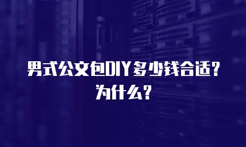 男式公文包DIY多少钱合适？为什么？