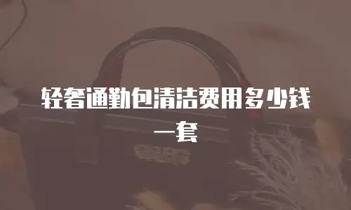 轻奢通勤包清洁费用多少钱一套